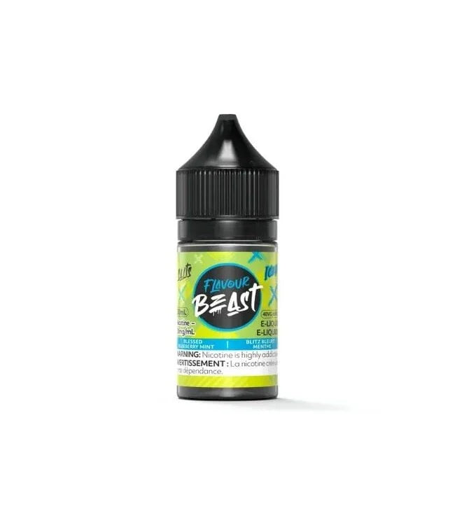 BLESSED BLUEBERRY MINT ICED by FLAVOUR BEAST SALT (30mL)